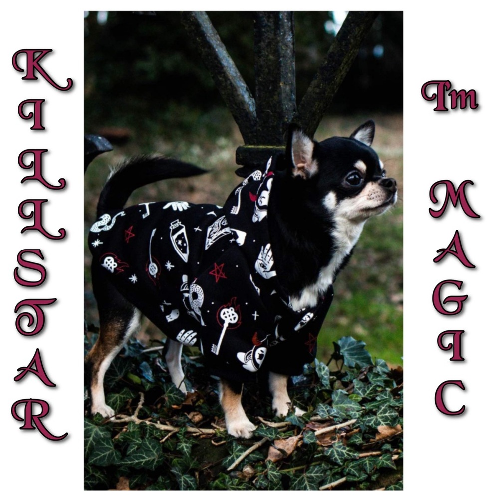 Pet Hoodie (NWT)